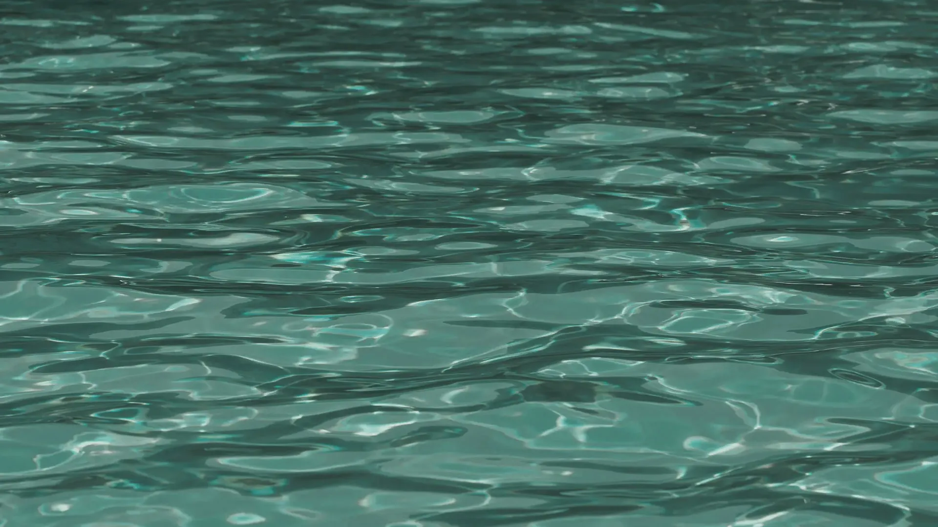 biodesign pool piscina oasi domu